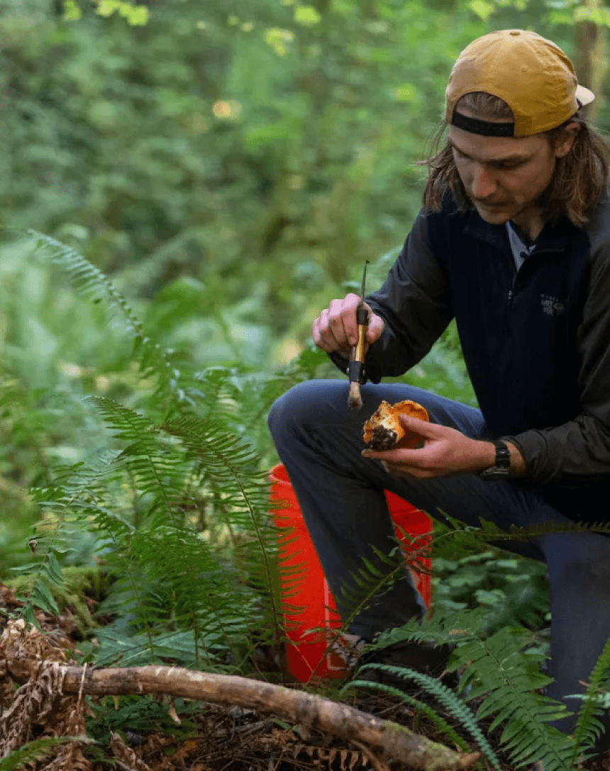 altText of the image