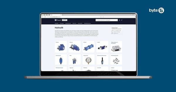Modernizing and migrating a German B2B procurement platform in record time for industrial client case