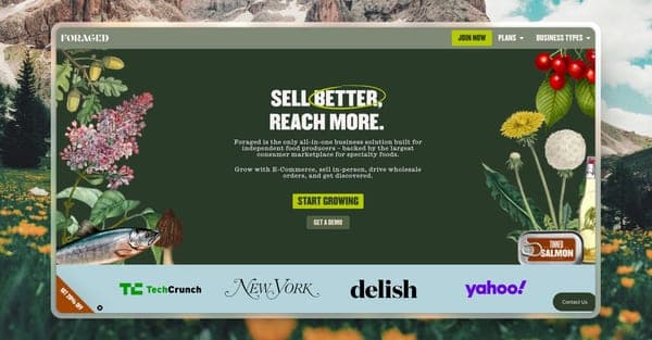 Enhanced a specialty marketplace with vendor CMS, dynamic storefronts, and wholesale invoicing case