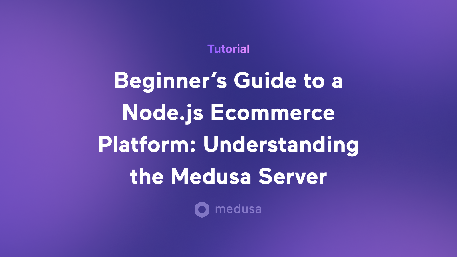 Beginner’s Guide to a Node.js Ecommerce Platform: Understanding the Medusa Server